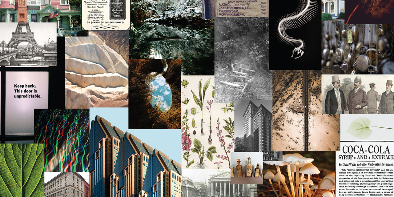 type research and inspiration mood board of architechture, plants, and vintage medical supplies